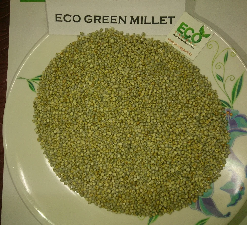 Millet From India/ Eco Green Millet Buy Green Millet Exporter,Millet