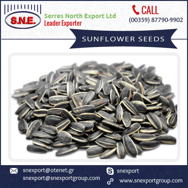 Striped Sunflower Seeds For Sale Buy Black Sunflower Seeds