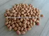 Ground nut kernel supplier
