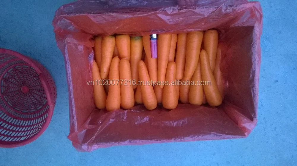 Fresh Carrots Size S.jpg