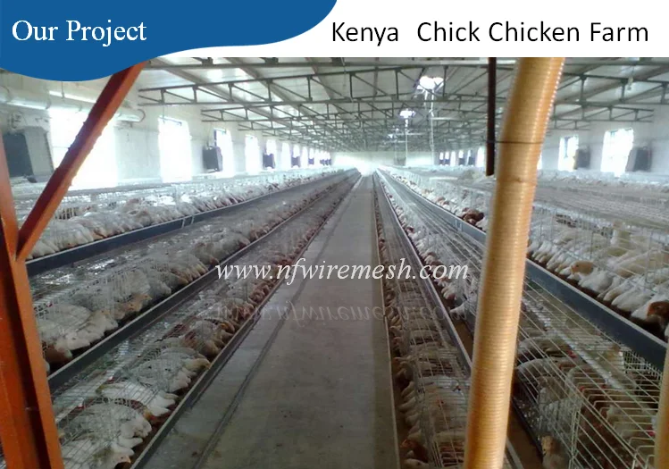 Kenya Farm Use poultry chicks cage for sale /used poultry cage