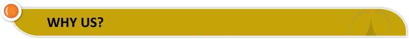 Why Us.jpg