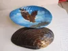 Sea scene paiting with eagle painted on seashell for souvenir decoration