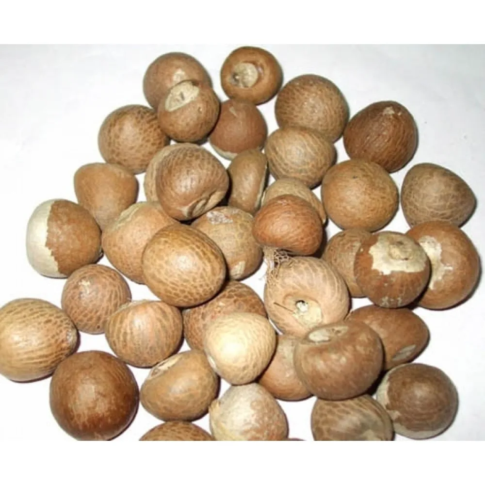 100% pure dried whole and split betel nut in bulk
