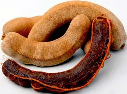 tamarind without shell pic 1.jpg