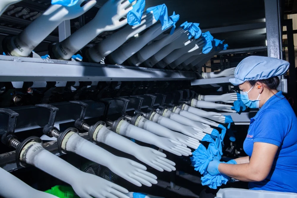 Powderfree Nitrile Examination Gloves Buy Latex Examination Gloves