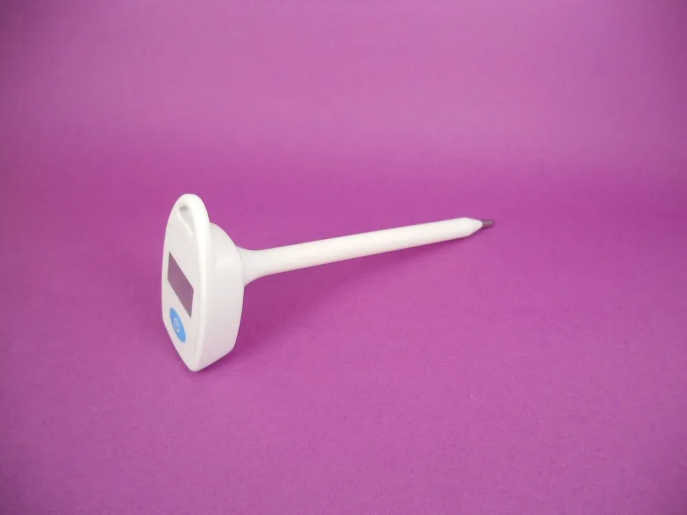 Thermometer For Horse,Cow Buy Thermometer For Horse,Vet Thermometer