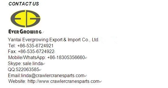 Crawler Crane Undercarriage Part Track Shoe for Kobelco P&H 5055