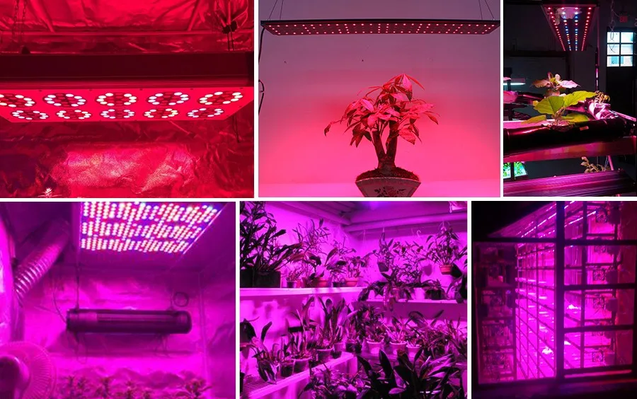 Herifi LED Grow Light 4.jpg