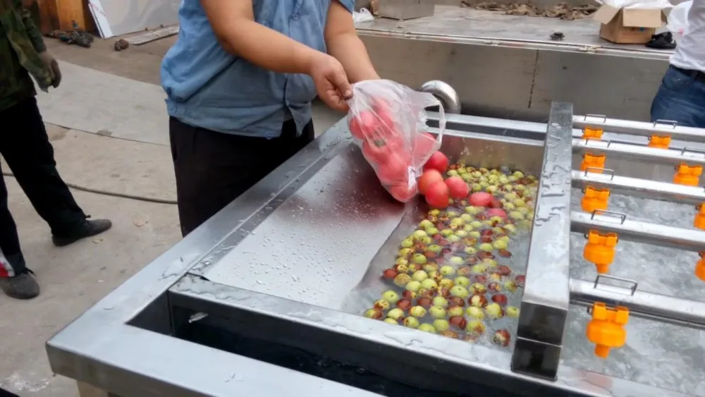 ozone vegetable washer