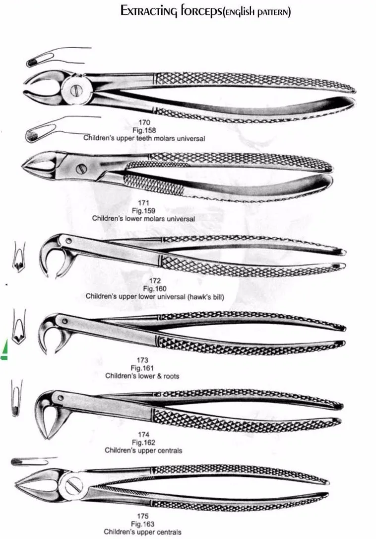 Dental Extracting Forceps Fig 2 Dental Instruments Buy Extracting