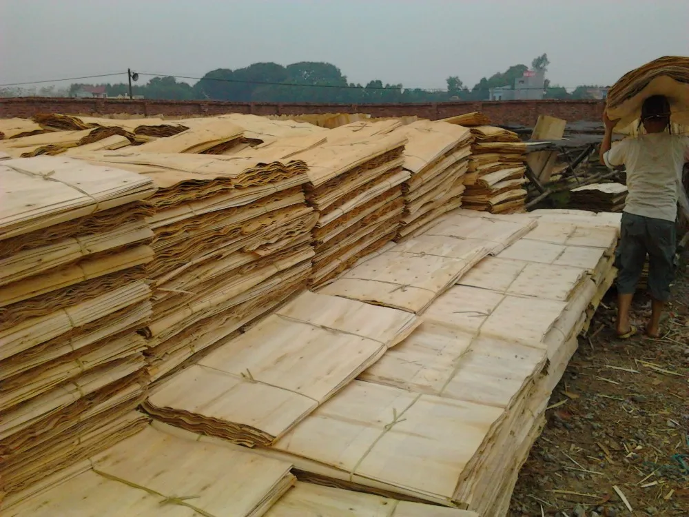 木材ユーカリベニヤの種類 1 7mm外装木材ベニヤ 安価な木材コアベニヤ Buy ベトナムユーカリコアベニヤ ベトナムコアベニヤ ロータリーカット Product On Alibaba Com