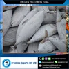Top Quality Frozen Yellow Fin Tuna Loins for Sale