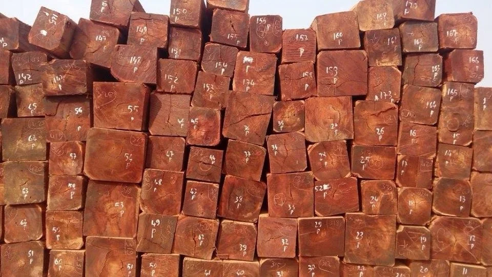 Hotsale High Quality Pyinkado Wood Log And Timber At Best Price From