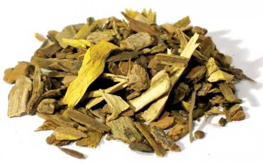 Daruhaldi Herb