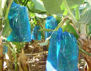 Banana Bags Protection Bag Product On Alibaba Banana Bags