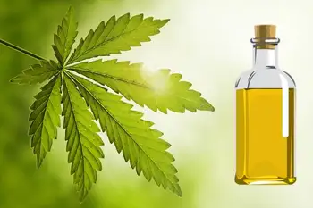 Neem wird verwendet, um Gewicht zu verlieren