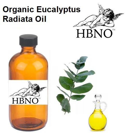 pure organic eucalyptus radiata oil