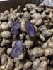 fresh black ginger