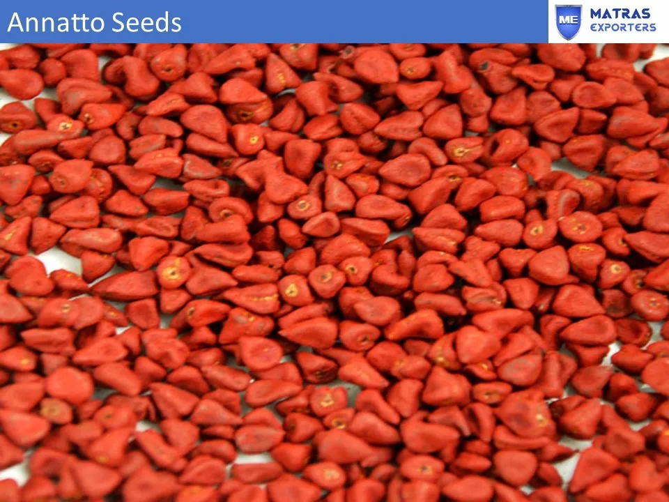 Annatto seeds 112.jpg