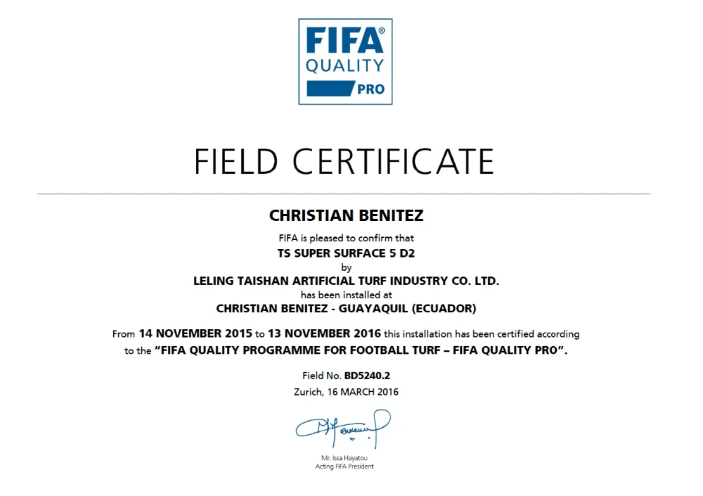 Taishan FIFA Certification Christian Benitez 2016.png