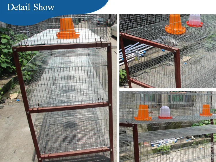Kenya Farm Use poultry chicks cage for sale /used poultry cage