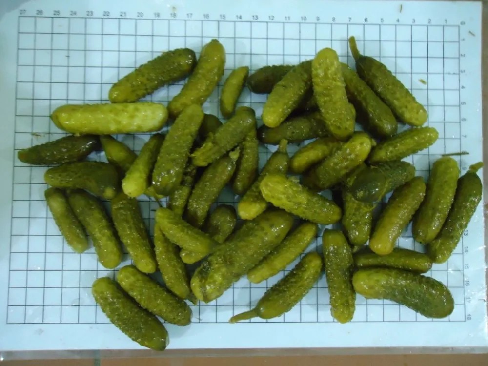 Pickled Cucumbers In Glass 720ml Jars Buy Pickled Baby Cucumber