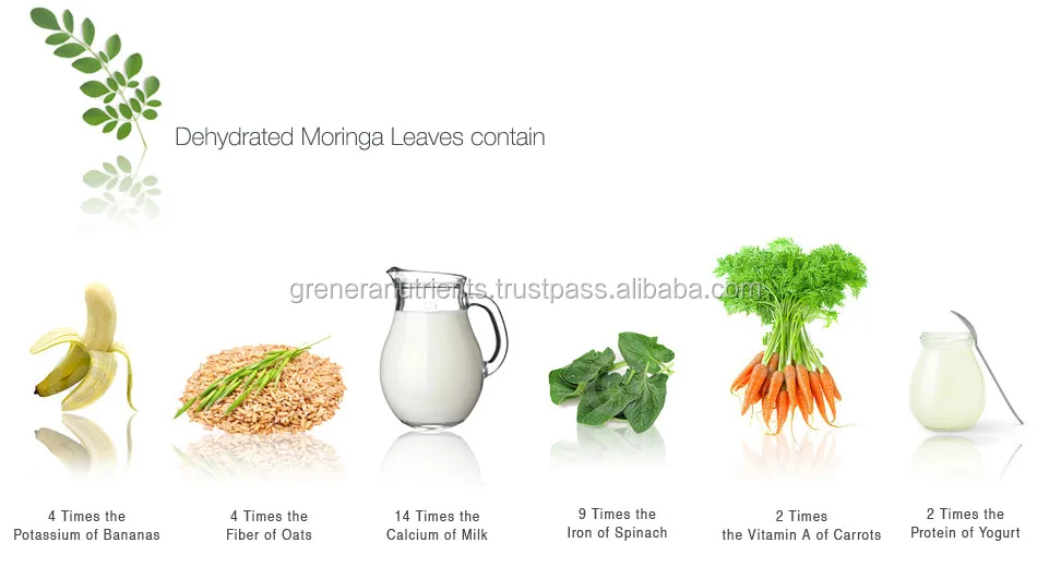 Moringa Powder
