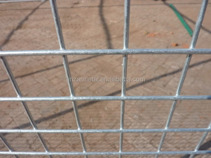 Welded Wire Mesh 1 2 X 1 2 X 36 X 30m 22 Gauge Aviary Cage Birds Small Animals Rabbit Cage Wire Buy Bird Cage Welded Wire Mesh Roll Galvanized Wire Mesh Rolls Concrete Wire