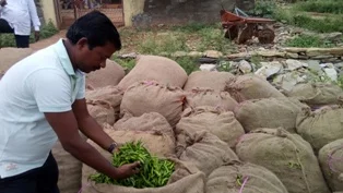 Aqua Power+_20150919_164308