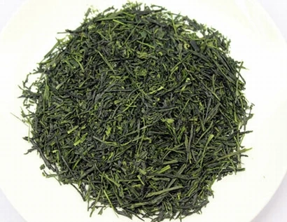 gyokuro02.jpg