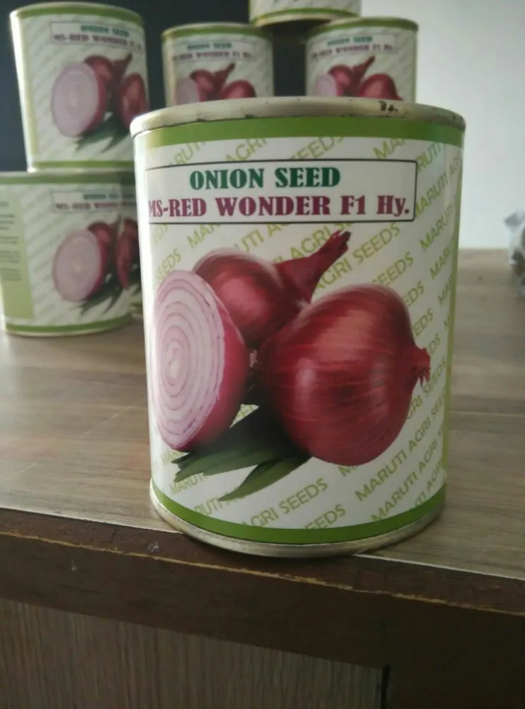 High Yield Of F1 Hybrid Onion Seed Maruti Red Wonder For Kenya - Buy ...