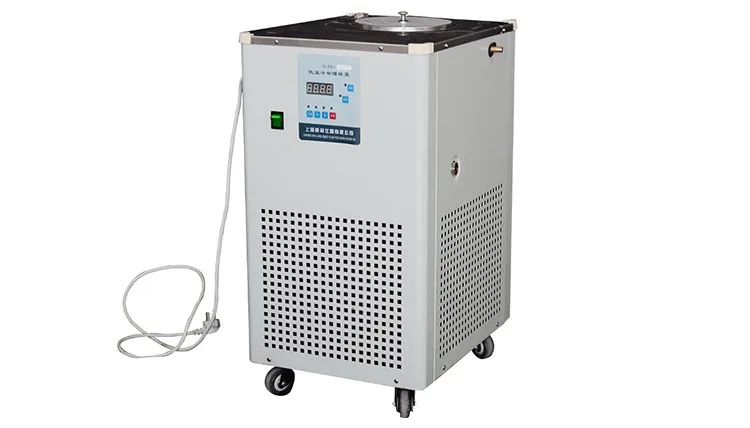 hot sale 5l constant low temperature circulating pump