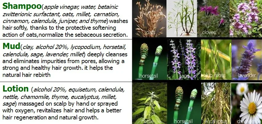 capelvenere_hair_loss_treatment