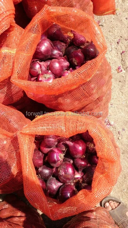 10 kg onion bags