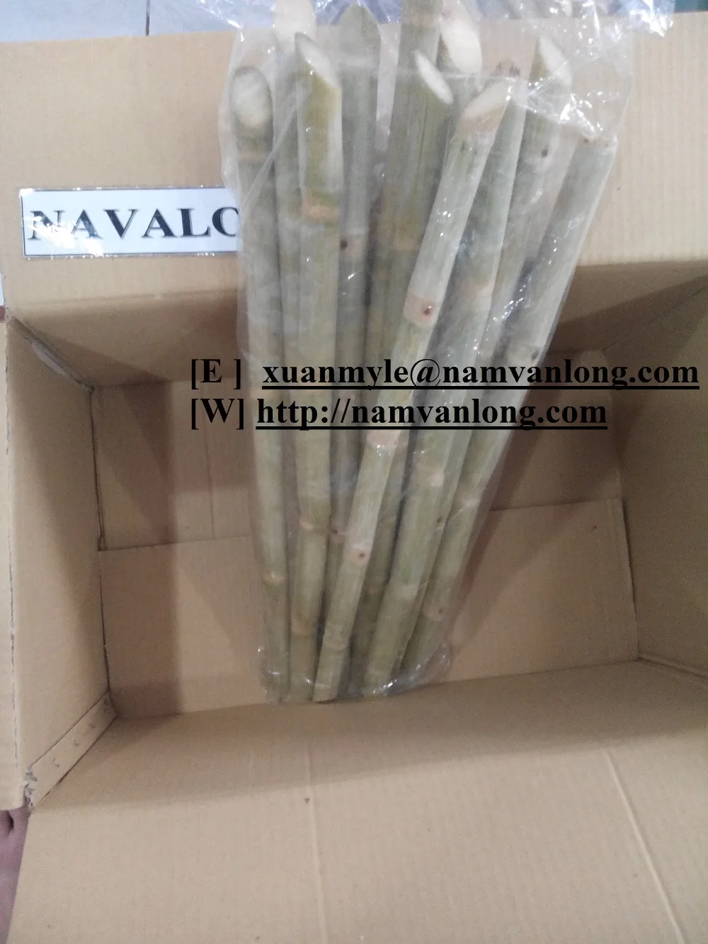 Fresh Sugar Cane (stick) Buy Sugar Cane For Sale,Sugar Cane Factory