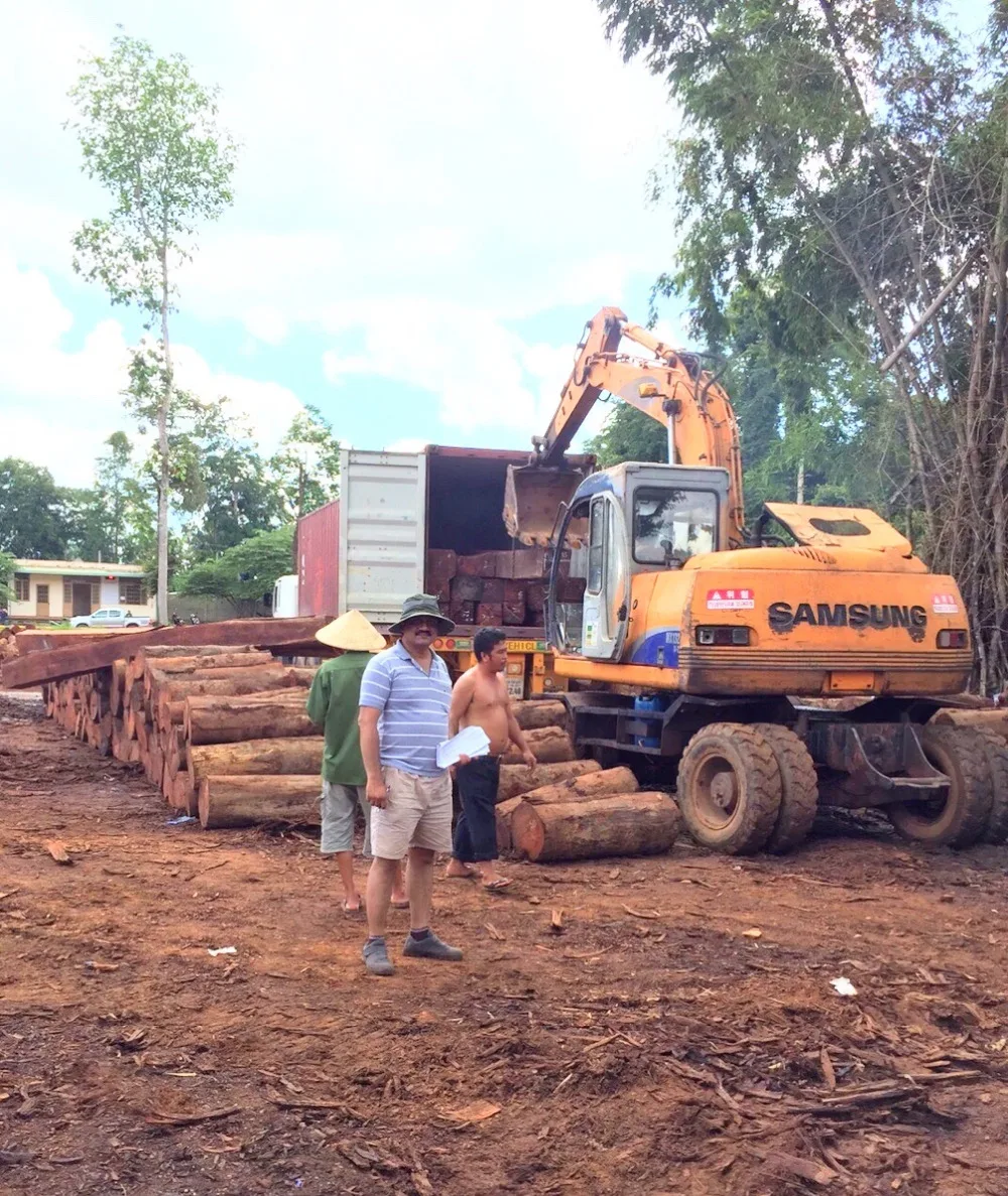 Hotsale High Quality Pyinkado Wood Log And Timber At Best Price From