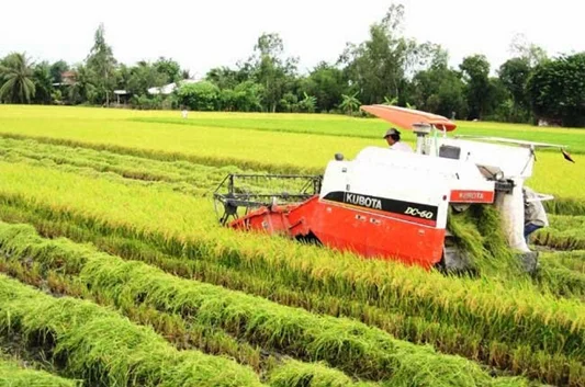 Japanese Combine Harvester Dc 70g - Kubota Machine - Made In Thailand 