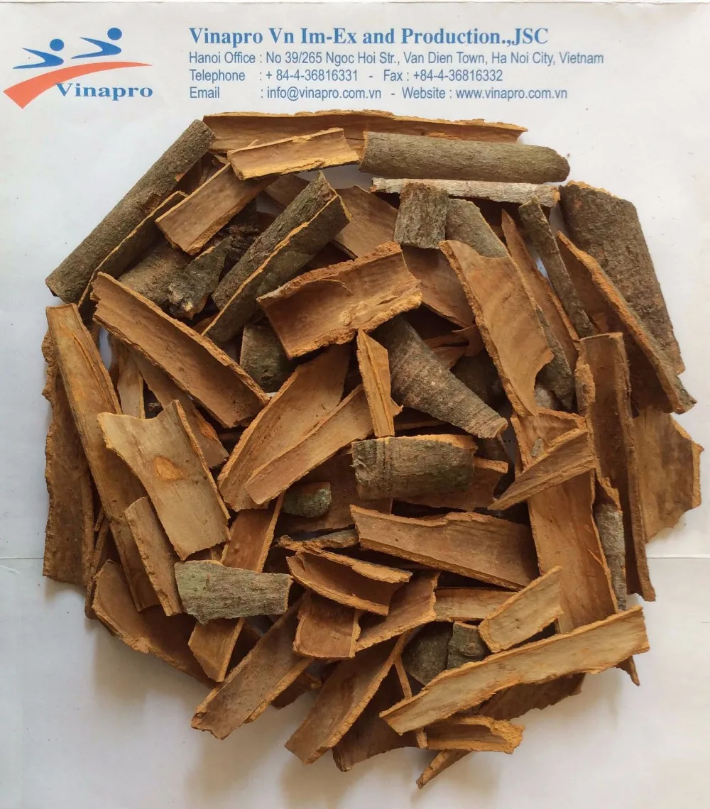 Cassia Vietnam Rusak Kualitas Tinggi Harga Terbaik Buy 