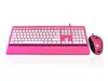Accuratus Image Set - USB Slim Full Size Keyboard & Mouse with Piano Pink Glossy Finish