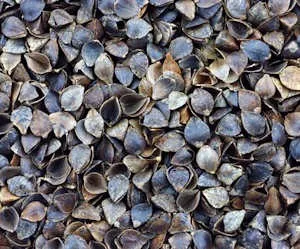 buckwheat pillow stuffing