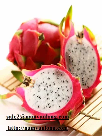 Dragon Fruit.png