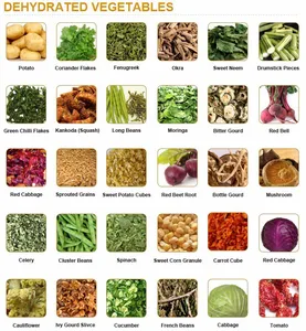 dehydrated vegetables - rosun natural products pvt ltd