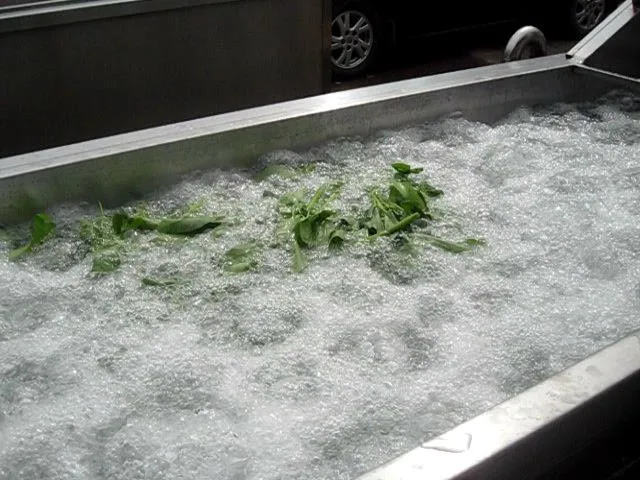 ozone generator for cleaning vegetables