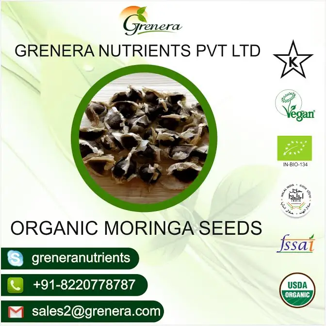 Organic Moringa Seed Plant Seeds Agriculture Purpose High Germination