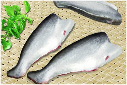 Fresh Basa/catfish/pangasius Bocourti From Vietnam At Best Price High