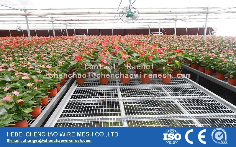 Original Plastic Top greenhouse  tables