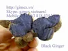 High Quality fresh black Ginger