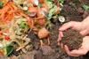 Efficient Composting Bacteria for Garden and Kitchen waste Composting