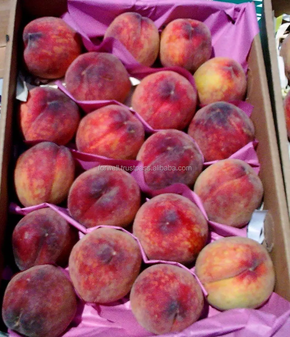 Fresh Peaches For Export Buy Peaches,Egyptian Peaches,Fresh Peaches